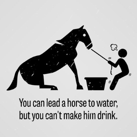 ../../_images/horse.png