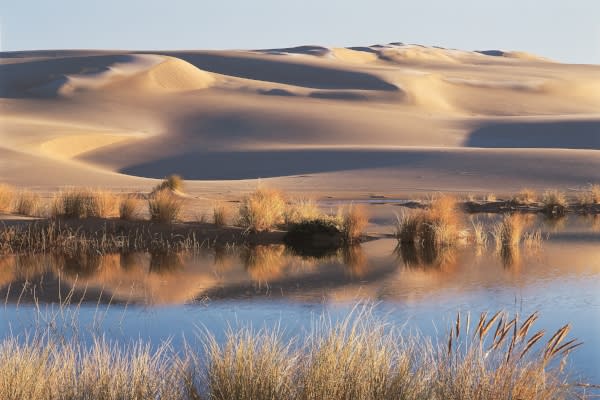 dune