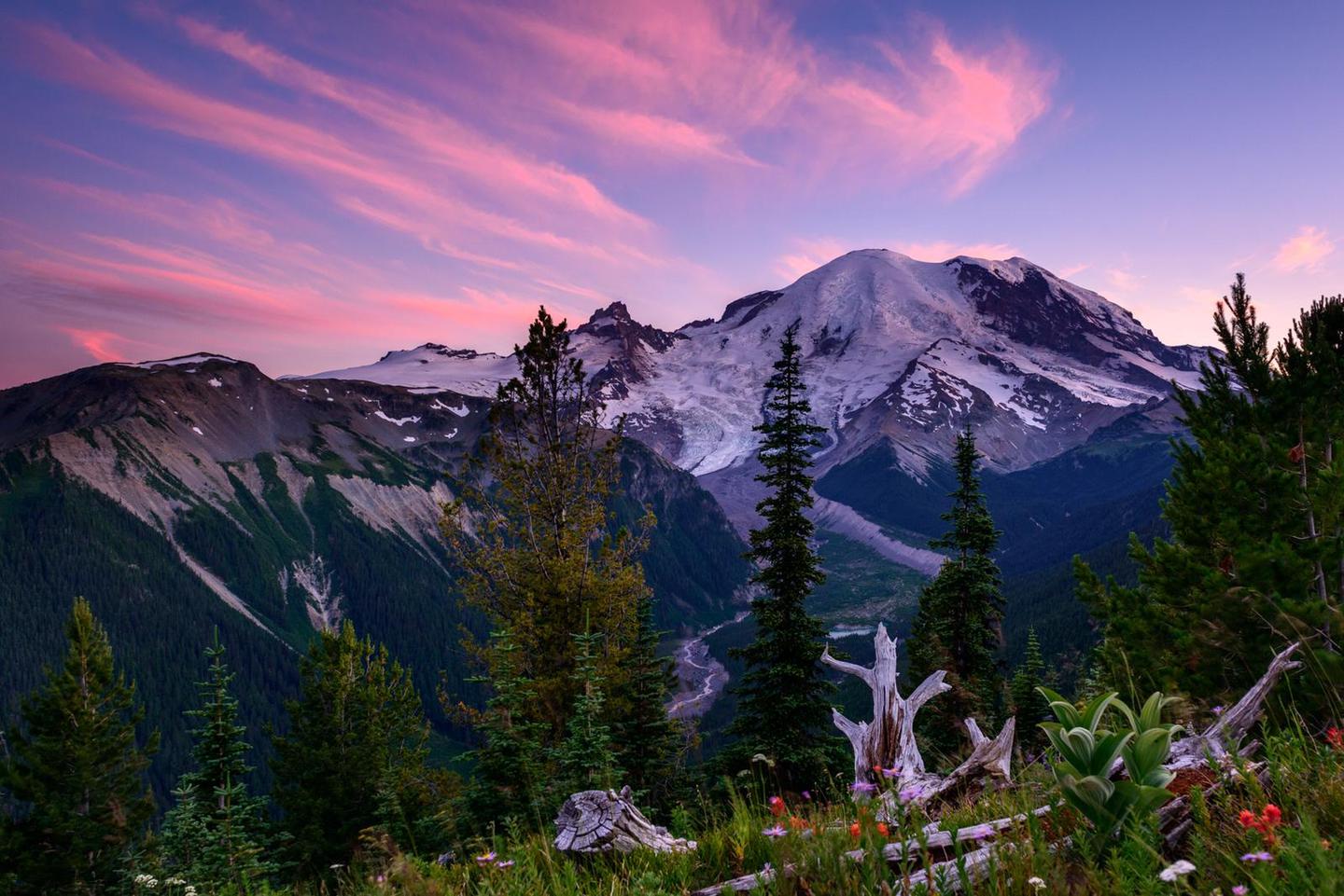 rainier